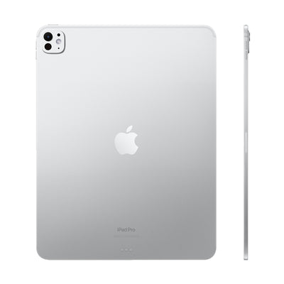 iPad Pro 13" M4