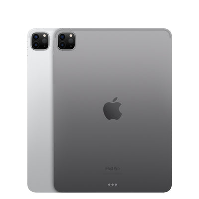 iPad Pro 11" (4th Gen)